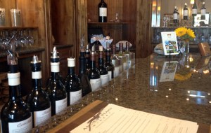 Be sure to include wine for your informal Super Bowl party. Central California coast wines like Ancient Peaks Zinfandel provide an excellent beverage alternative to bring your own beer.