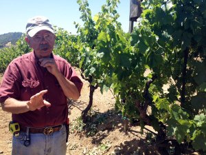 Hand-crafting small lot wines since 1991, Jim Rickards goal is to showcase the diverse soils and micro-climates of his vineyards. He has pioneered environmentally sensitive vineyard practices and been a proponent of sustainable farming techniques.