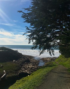 cavalier-oceanfront-resort